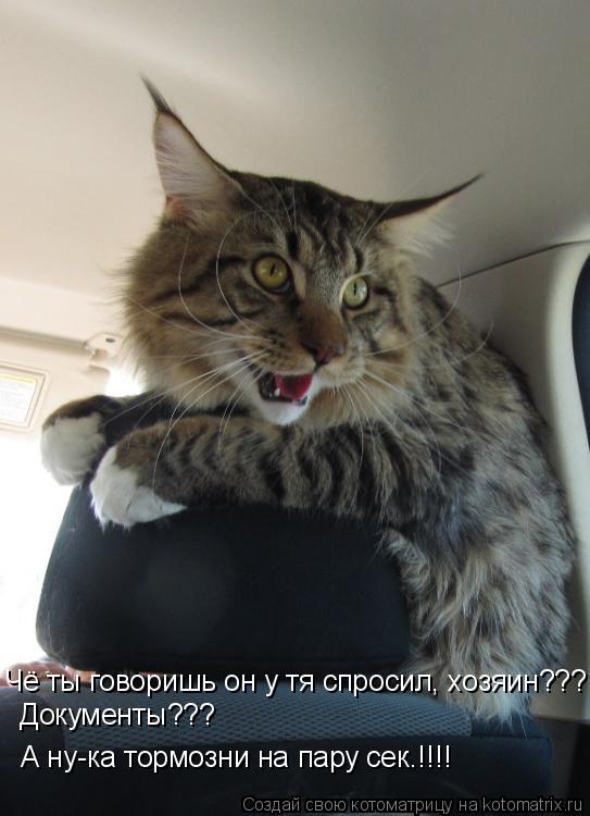 Чё ты говоришь он у тя спросил, хозяин??? Документы??? А ну-ка тормозни на пару сек. Документы??? А ... Котоматрица: Чё ты говоришь он у тя спросил, хозяин??? Документы??? А ну-ка тормозни на пару сек. Документы??? А ну-ка тормозни на пару сек.!!!!