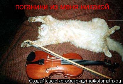 поганини из меня никакой... Котоматрица: поганини из меня никакой