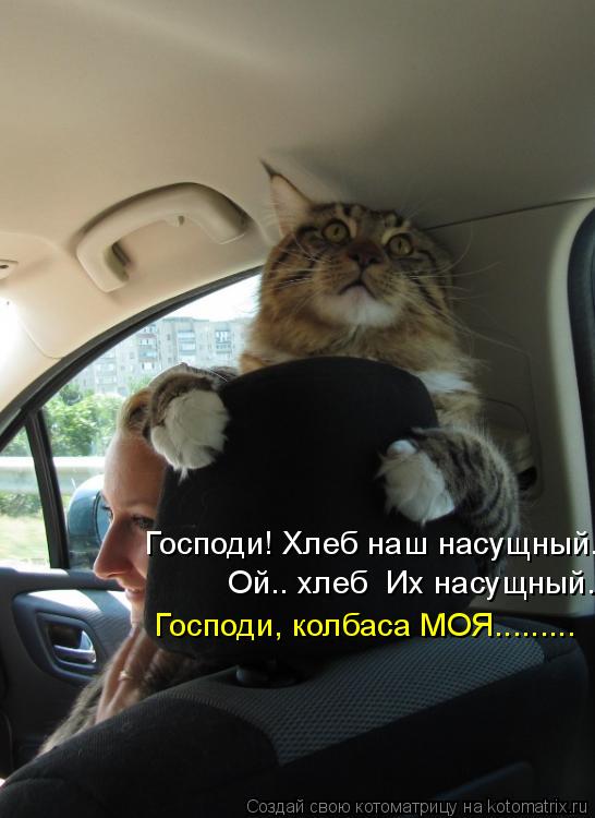 Господи! Хлеб наш насущный. Ой.. хлеб Их насущный... Господи, колбаса МОЯ............ Котоматрица: Господи! Хлеб наш насущный. Ой.. хлеб Их насущный... Господи, колбаса МОЯ.........