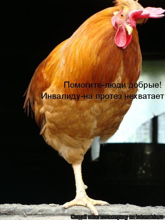 Помогите-люди добрые! Инвалиду-на протез нехватает!... Котоматрица: Помогите-люди добрые! Инвалиду-на протез нехватает!