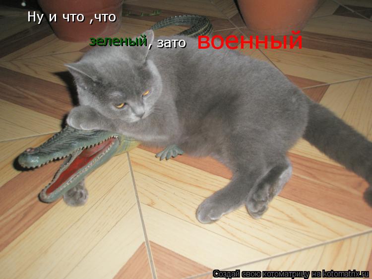 Ну и что ,что зеленый , зато военный... Котоматрица: Ну и что ,что зеленый , зато военный