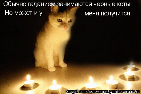 Обычно гаданием занимаются черные коты Но может и у меня получится... Котоматрица: Обычно гаданием занимаются черные коты Но может и у меня получится