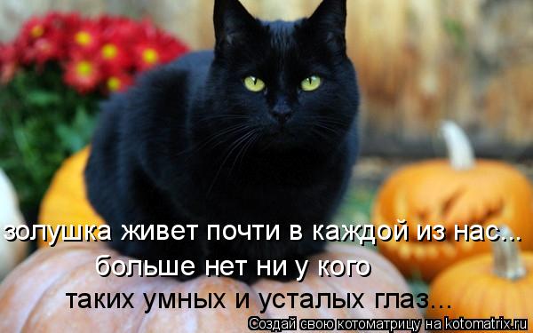 золушка живет почти в каждой из нас... больше нет ни у кого таких умных и усталых глаз...... Котоматрица: золушка живет почти в каждой из нас... больше нет ни у кого таких умных и усталых глаз...