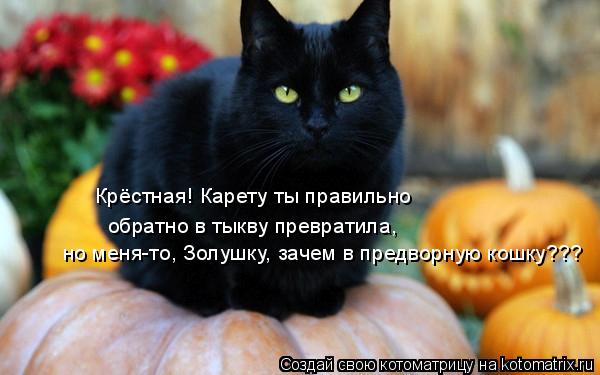 Крёстная! Карету ты правильно обратно в тыкву превратила, но меня-то, Золушку, зачем в предворную кош... Котоматрица: Крёстная! Карету ты правильно обратно в тыкву превратила, но меня-то, Золушку, зачем в предворную кошку???