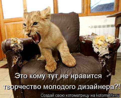 Котоматрица: Это кому тут не нравится  творчество молодого дизайнера?!!