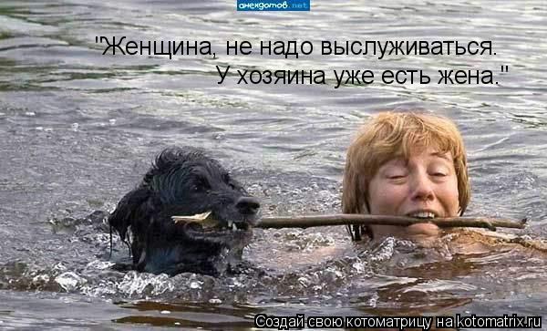 "Женщина, не надо выслуживаться. У хозяина уже есть жена."... Котоматрица: "Женщина, не надо выслуживаться. У хозяина уже есть жена."