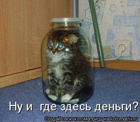 Ну и где здесь деньги?... Котоматрица: Ну и где здесь деньги?