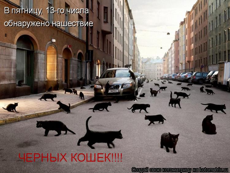 В пятницу, 13-го числа обнаружено нашествие ЧЕРНЫХ КОШЕК!!!!... Котоматрица: В пятницу, 13-го числа обнаружено нашествие ЧЕРНЫХ КОШЕК!!!!