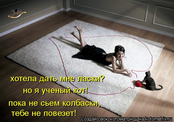 хотела дать мне ласки? но я ученый кот! пока не сьем колбаски, тебе не повезет!... Котоматрица: хотела дать мне ласки? но я ученый кот! пока не сьем колбаски, тебе не повезет!