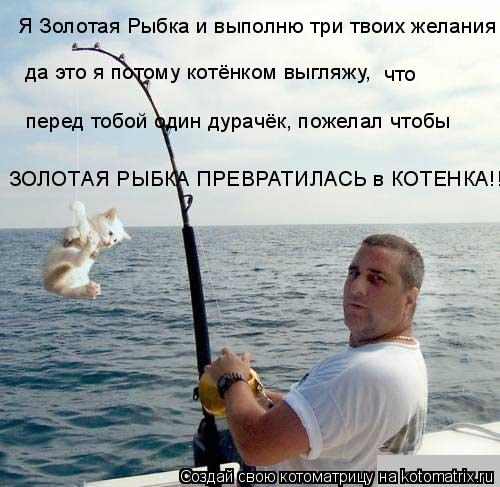 Я Золотая Рыбка и выполню три твоих желания да это я потому котёнком выгляжу, что перед тобой один ... Котоматрица: Я Золотая Рыбка и выполню три твоих желания да это я потому котёнком выгляжу, что перед тобой один дурачёк, пожелал чтобы ЗОЛОТАЯ РЫБКА ПР
