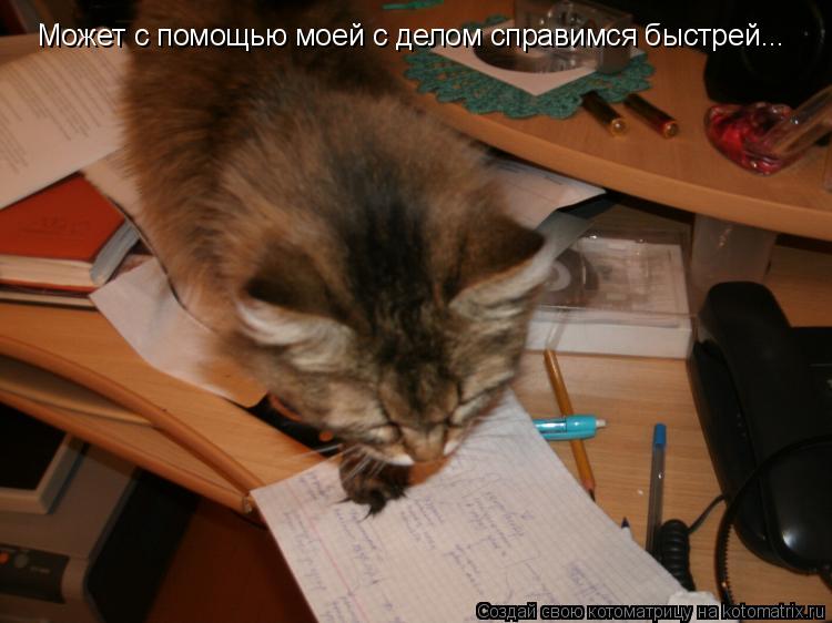 Может с помощью моей с делом справимся быстрей...... Котоматрица: Может с помощью моей с делом справимся быстрей...