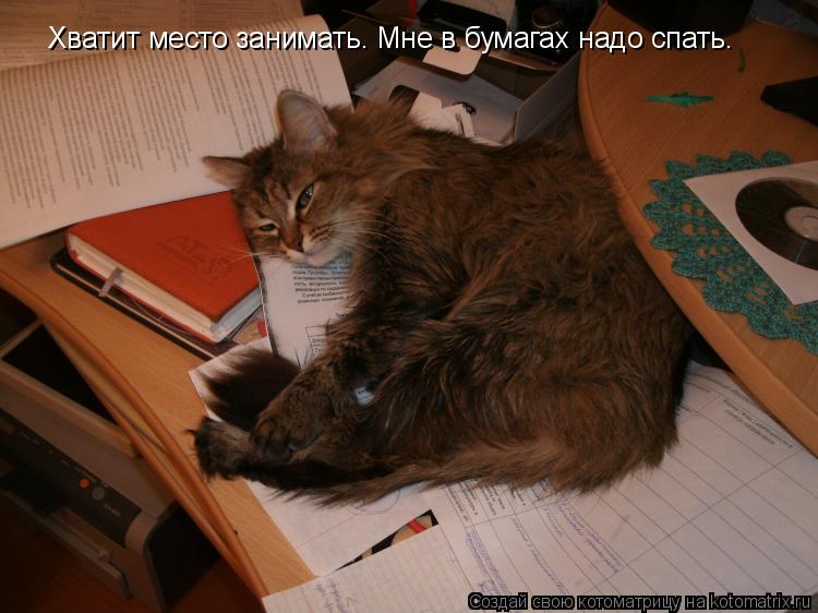 Хватит место занимать. Мне в бумагах надо спать.... Котоматрица: Хватит место занимать. Мне в бумагах надо спать.