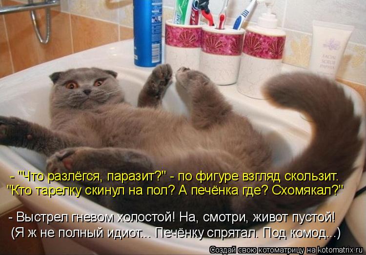 - "Что разлёгся, паразит?" - по фигуре взгляд скользит. "Кто тарелку скинул на пол? А печёнка где? Сх... Котоматрица: - "Что разлёгся, паразит?" - по фигуре взгляд скользит. "Кто тарелку скинул на пол? А печёнка где? Схомякал?" - Выстрел гневом холостой! На, смотр