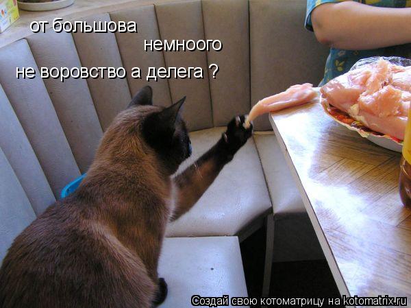 от большова немноого не воровство а делега ?... Котоматрица: от большова немноого не воровство а делега ?