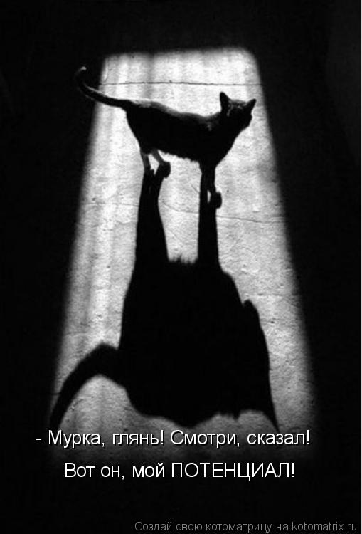- Мурка, глянь! Смотри, сказал! Вот он, мой ПОТЕНЦИАЛ!... Котоматрица: - Мурка, глянь! Смотри, сказал! Вот он, мой ПОТЕНЦИАЛ!