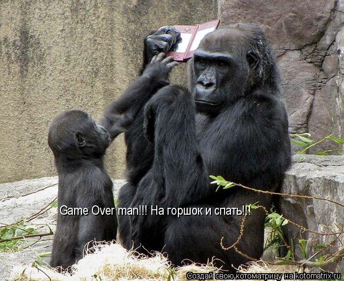 Game Over man!!! На горшок и спать!!!... Котоматрица: Game Over man!!! На горшок и спать!!!