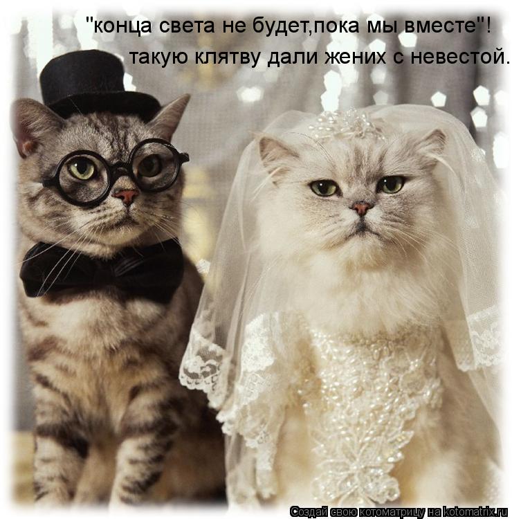 "конца света не будет,пока мы вместе"! такую клятву дали жених с невестой.... Котоматрица: "конца света не будет,пока мы вместе"! такую клятву дали жених с невестой.