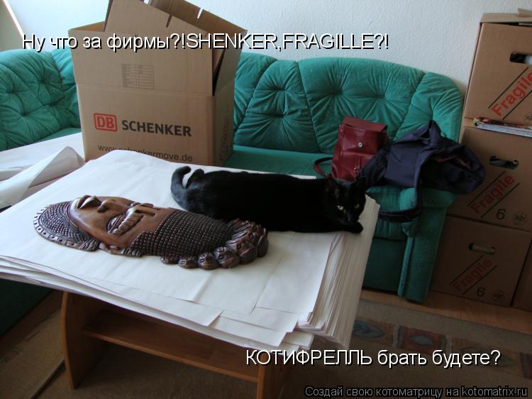 Ну что за фирмы?!SHENKER,FRAGILLE?! КОТИФРЕЛЛЬ брать будете?... Котоматрица: Ну что за фирмы?!SHENKER,FRAGILLE?! КОТИФРЕЛЛЬ брать будете?