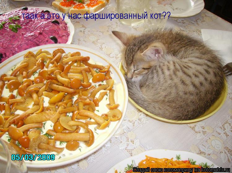 таак а это у нас фаршированный кот??... Котоматрица: таак а это у нас фаршированный кот??