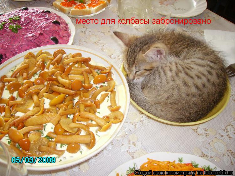 место для колбасы забронировано... Котоматрица: место для колбасы забронировано