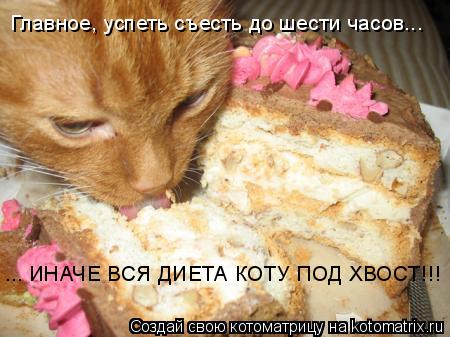 Котоматрица: Главное, успеть съесть до шести часов... ... ИНАЧЕ ВСЯ ДИЕТА КОТУ ПОД ХВОСТ!!!