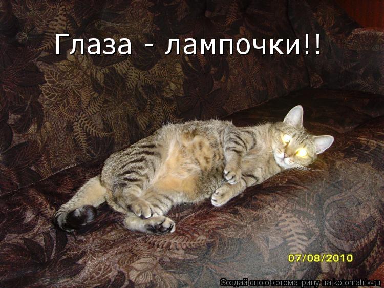 Глаза - лампочки!!... Котоматрица: Глаза - лампочки!!