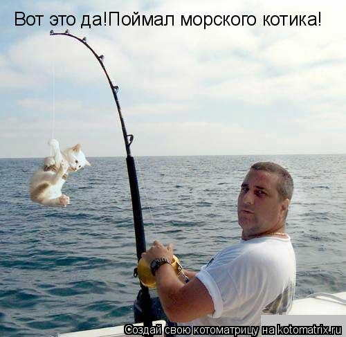 Вот это да!Поймал морского котика!... Котоматрица: Вот это да!Поймал морского котика!