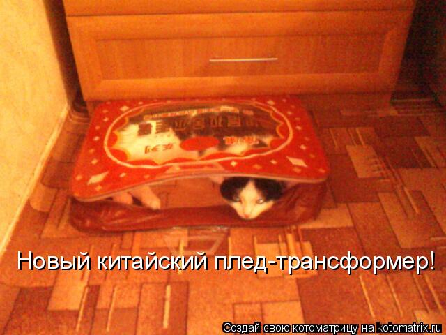 Новый китайский плед-трансформер!... Котоматрица: Новый китайский плед-трансформер!