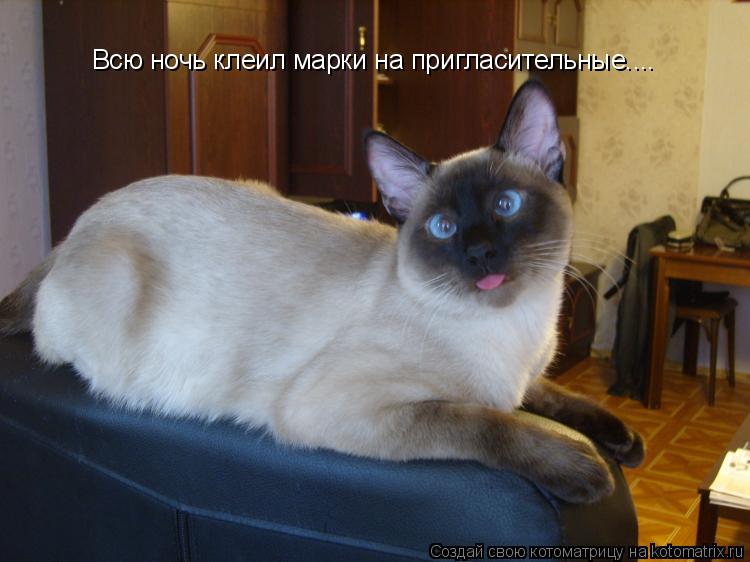 Всю ночь клеил марки на пригласительные....... Котоматрица: Всю ночь клеил марки на пригласительные....