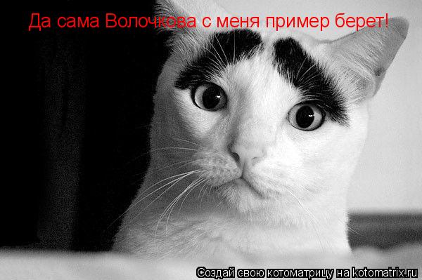 Да сама Волочкова с меня пример берет!... Котоматрица: Да сама Волочкова с меня пример берет!