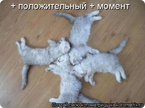 + положительный + момент... Котоматрица: + положительный + момент