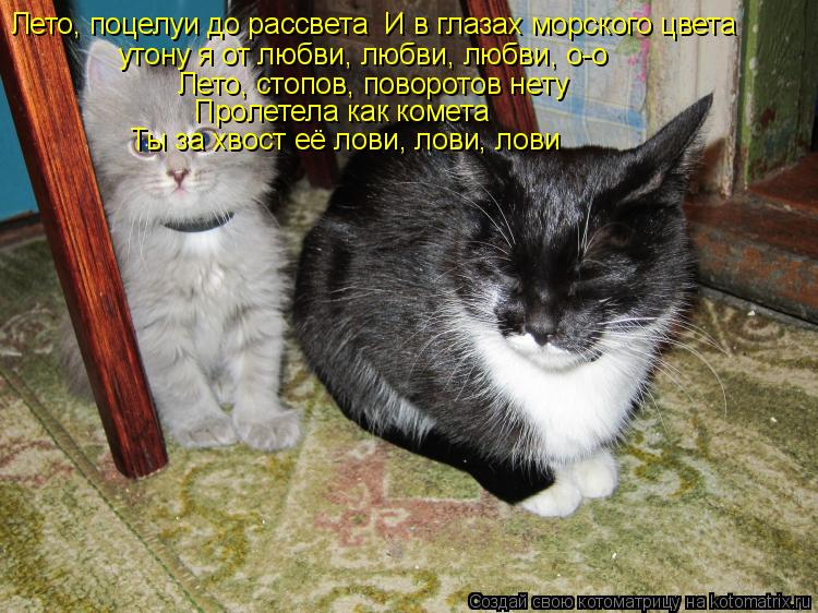 Лето, поцелуи до рассвета И в глазах морского цвета утону я от любви, любви, любви, о-о Лето, стоп... Котоматрица: Лето, поцелуи до рассвета И в глазах морского цвета утону я от любви, любви, любви, о-о Лето, стопов, поворотов нету Пролетела как комета Ты