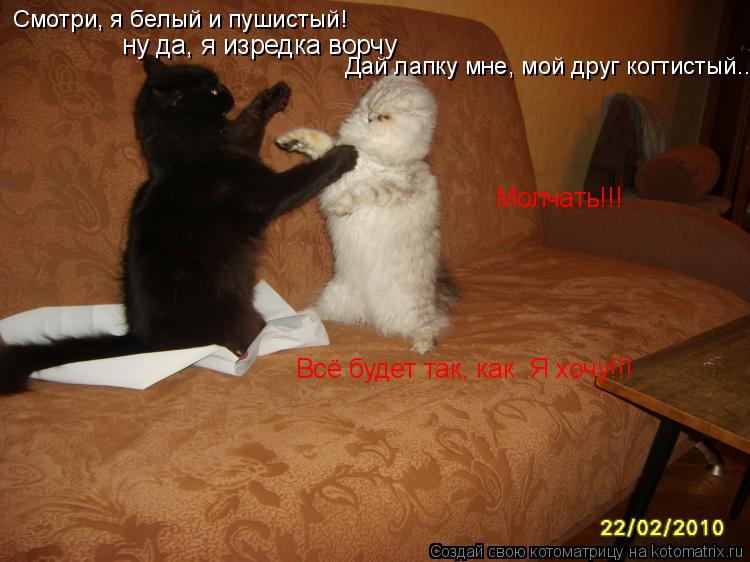 Смотри, я белый и пушистый! ну да, я изредка ворчу Дай лапку мне, мой друг когтистый... Молчать!!! Вс... Котоматрица: Смотри, я белый и пушистый! ну да, я изредка ворчу Дай лапку мне, мой друг когтистый... Молчать!!! Всё будет так, как Я хочу!!!