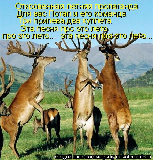 Откровенная летняя пропаганда Для вас Потап и его команда Три припева,два куплета Эта песня про это л... Котоматрица: Откровенная летняя пропаганда Для вас Потап и его команда Три припева,два куплета Эта песня про это лето про это лето... эта песня про это ле