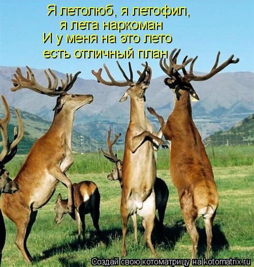 Я летолюб, я летофил, я лета наркоман И у меня на это лето есть отличный план... Котоматрица: Я летолюб, я летофил, я лета наркоман И у меня на это лето есть отличный план