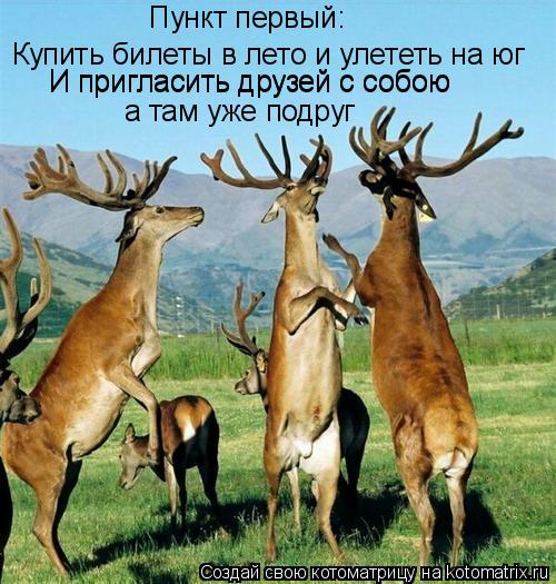 Пункт первый: Купить билеты в лето и улететь на юг И пригласить друзей с собою И пригласить друзей с ... Котоматрица: Пункт первый: Купить билеты в лето и улететь на юг И пригласить друзей с собою И пригласить друзей с собою а там уже подруг