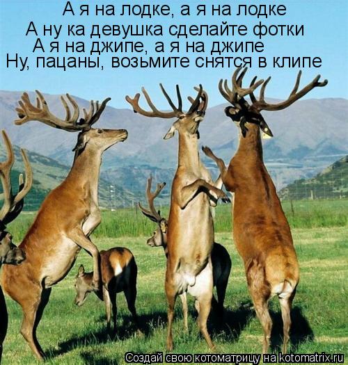 А я на лодке, а я на лодке А ну ка девушка сделайте фотки А я на джипе, а я на джипе Ну, пацаны, возь... Котоматрица: А я на лодке, а я на лодке А ну ка девушка сделайте фотки А я на джипе, а я на джипе Ну, пацаны, возьмите снятся в клипе