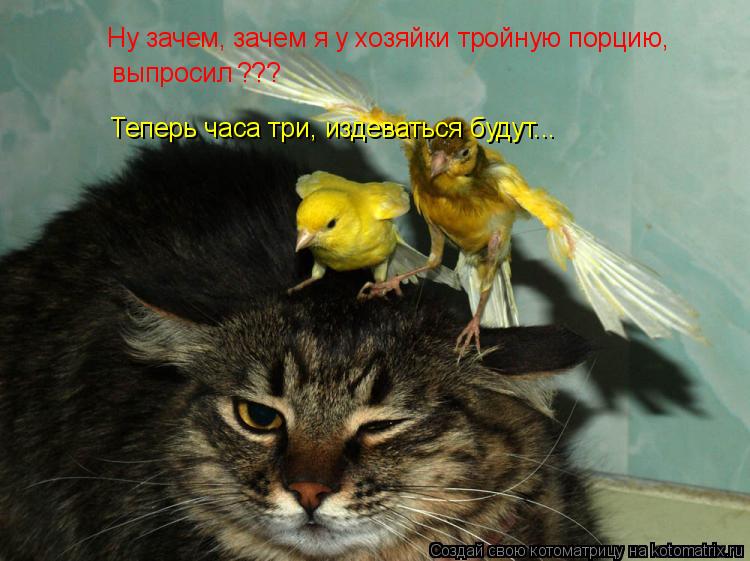 Ну зачем, зачем я у хозяйки тройную порцию, выпросил ??? Теперь часа три, издеваться будут...... Котоматрица: Ну зачем, зачем я у хозяйки тройную порцию, выпросил ??? Теперь часа три, издеваться будут...