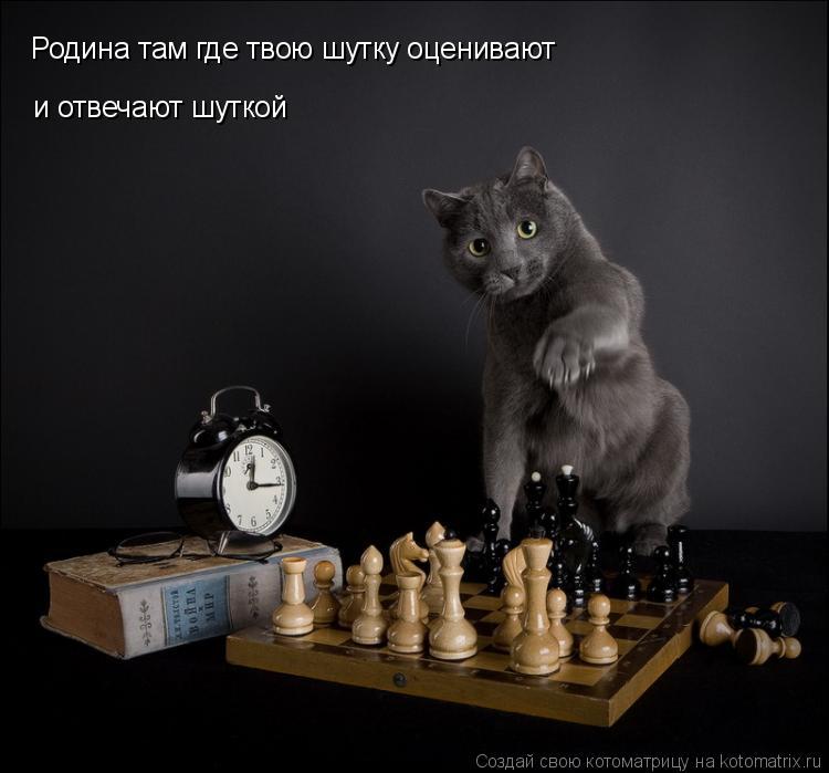 Родина там где твою шутку оценивают и отвечают шуткой... Котоматрица: Родина там где твою шутку оценивают и отвечают шуткой