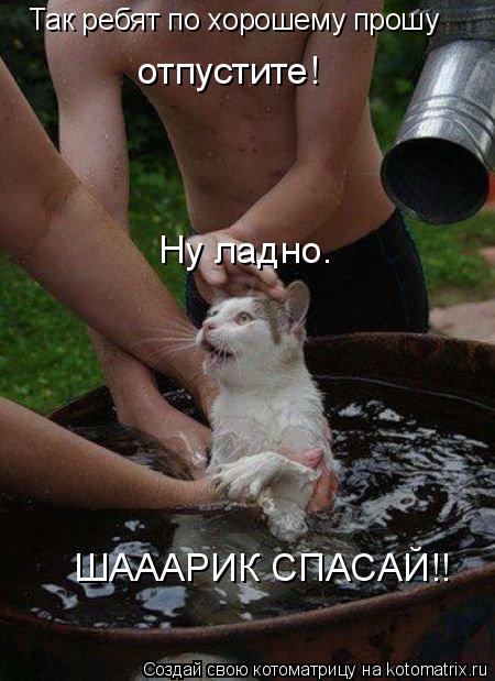 Так ребят по хорошему прошу отпустите! Ну ладно. ШАААРИК СПАСАЙ!!... Котоматрица: Так ребят по хорошему прошу отпустите! Ну ладно. ШАААРИК СПАСАЙ!!