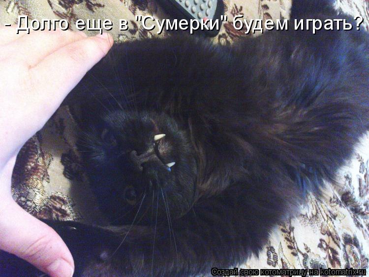 - Долго еще в "Сумерки" будем играть?... Котоматрица: - Долго еще в "Сумерки" будем играть?
