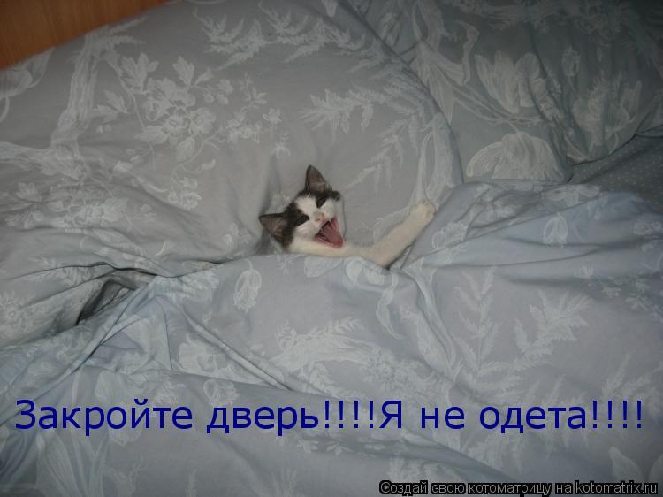 Закройте дверь!!!!Я не одета!!!!... Котоматрица: Закройте дверь!!!!Я не одета!!!!