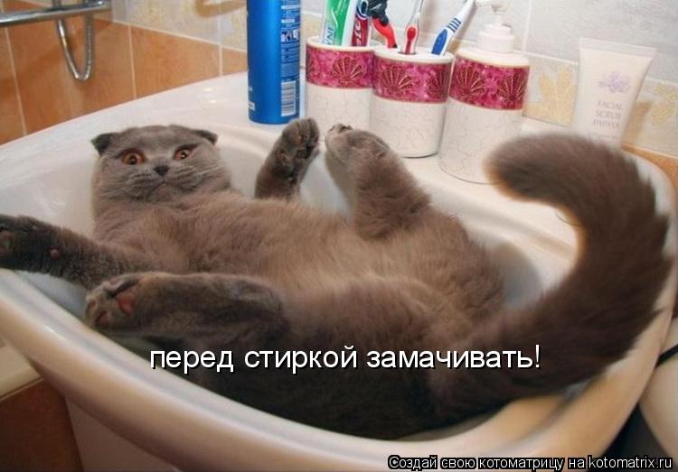 перед стиркой замачивать!... Котоматрица: перед стиркой замачивать!