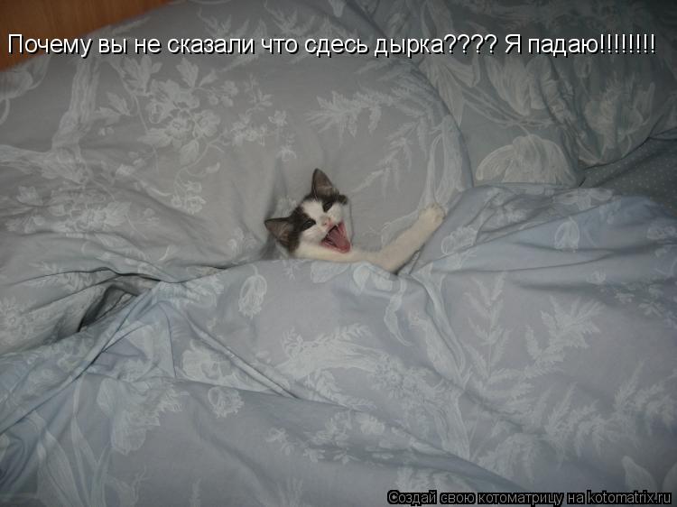 Почему вы не сказали что сдесь дырка???? Я падаю!!!!!!!!... Котоматрица: Почему вы не сказали что сдесь дырка???? Я падаю!!!!!!!!