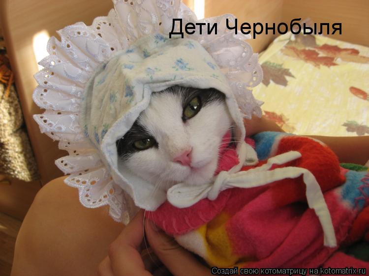 Дети Чернобыля... Котоматрица: Дети Чернобыля