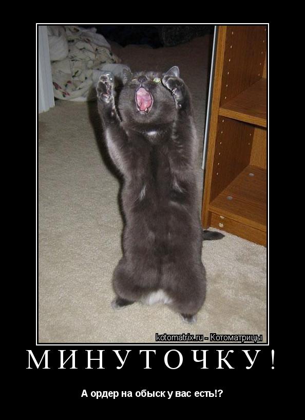 Котоматрица: МИНУТОЧКУ! А ордер на обыск у вас есть!?