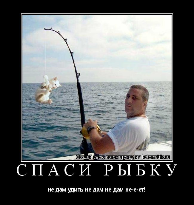 спаси рыбку не дам удить не дам не дам не-е-ет!... Котоматрица: спаси рыбку не дам удить не дам не дам не-е-ет!