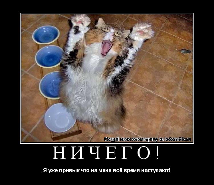 Ничего! Я уже привык что на меня всё время наступают!... Котоматрица: Ничего! Я уже привык что на меня всё время наступают!