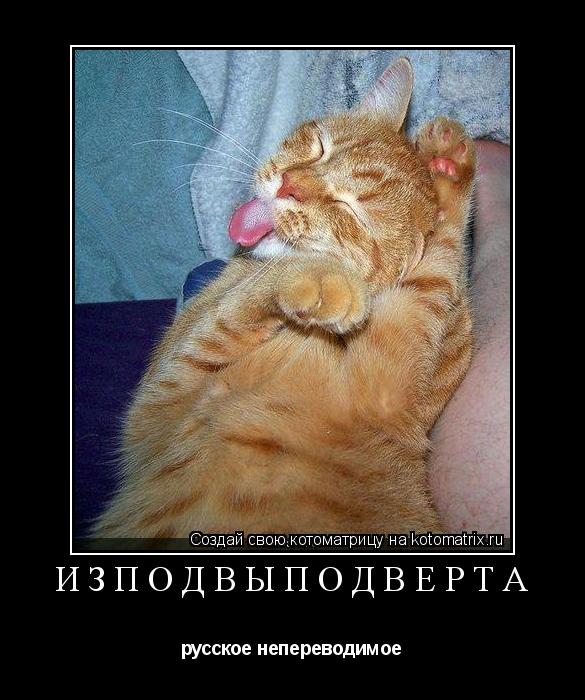 ИЗПОДВЫПОДВЕРТА русское непереводимое... Котоматрица: ИЗПОДВЫПОДВЕРТА русское непереводимое
