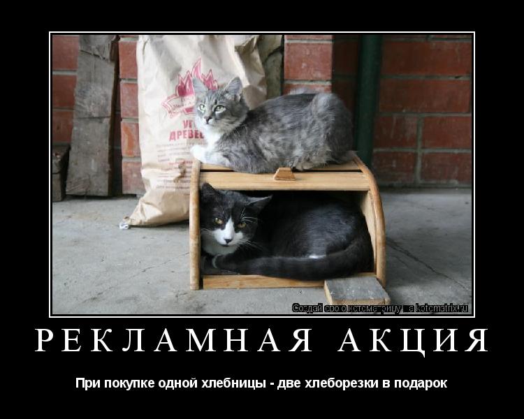 Рекламная акция При покупке одной хлебницы - две хлеборезки в подарок... Котоматрица: Рекламная акция При покупке одной хлебницы - две хлеборезки в подарок